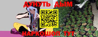 шишки Ярославль