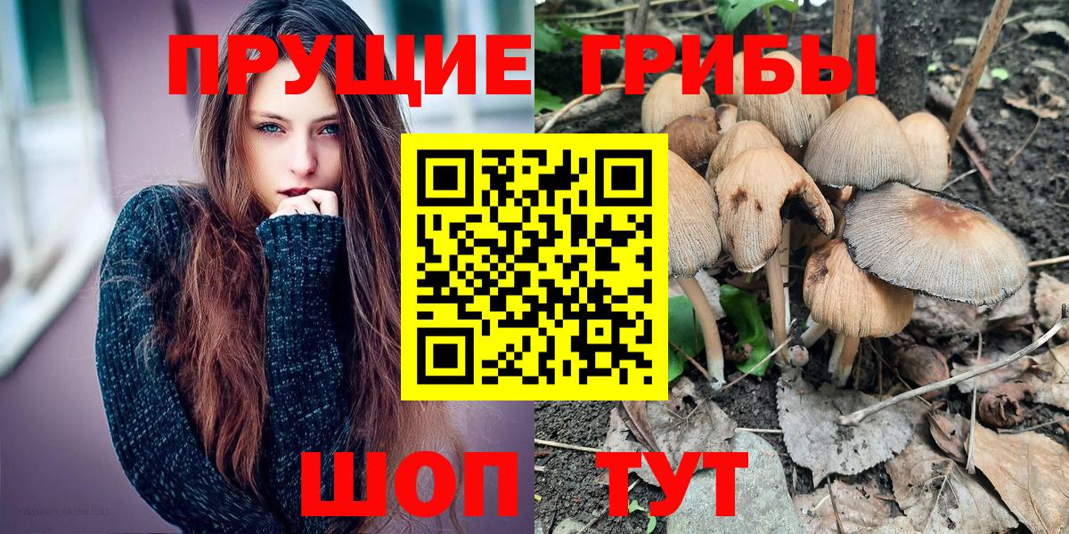 Галлюциногенные грибы Psilocybe Артём