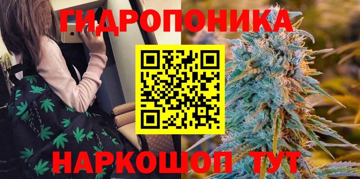 Артём  Канабис Ganja  Марихуана Ganja  Вход с VPN  Бошки марихуана сатива  Канабис THC 21% 